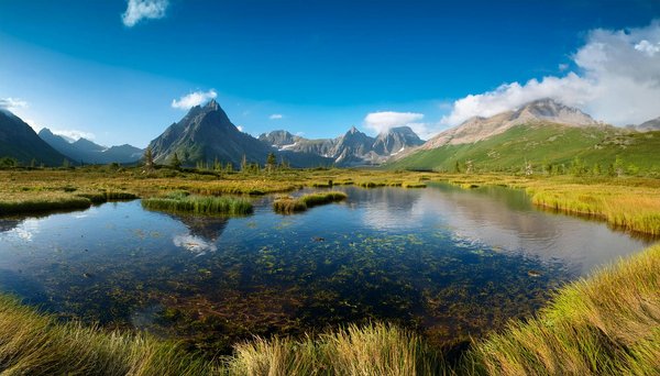 Comment découvrir les marchés fermiers locaux en France?