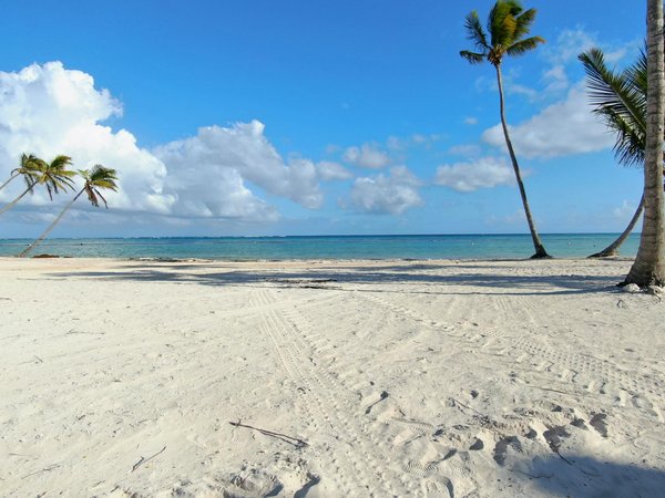 Quels sont les meilleurs spots pour la plongée en apnée autour des récifs coralliens de Palau : conseils et périodes ?